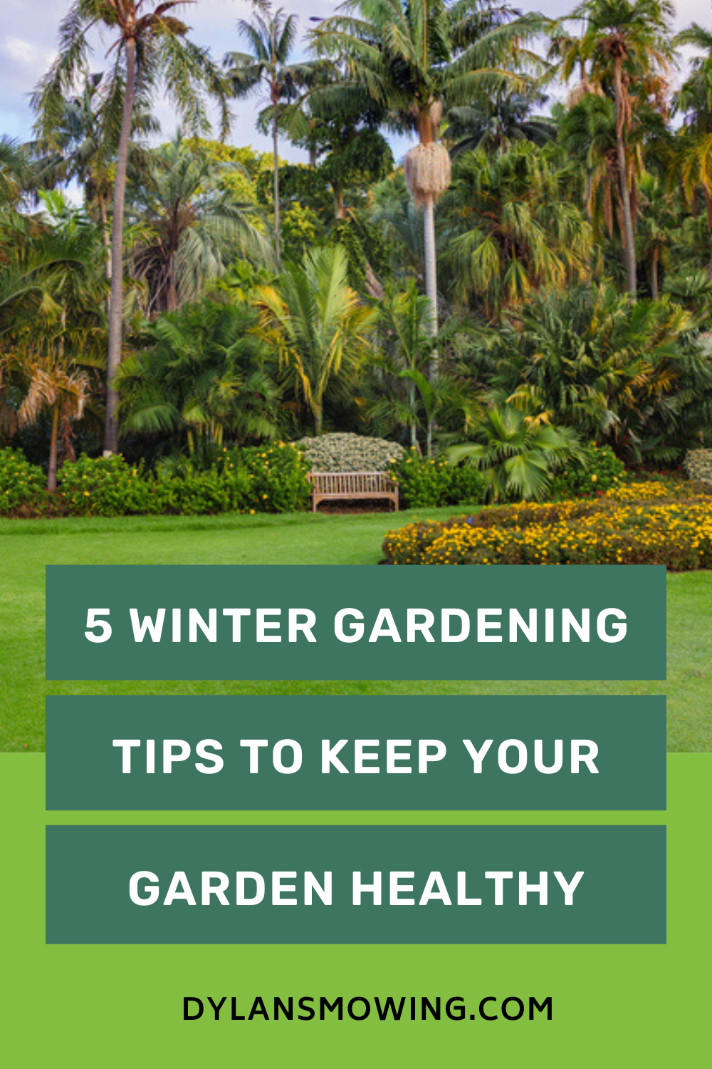 A gardener covering plants with frost cloth to maintain a garden during winter