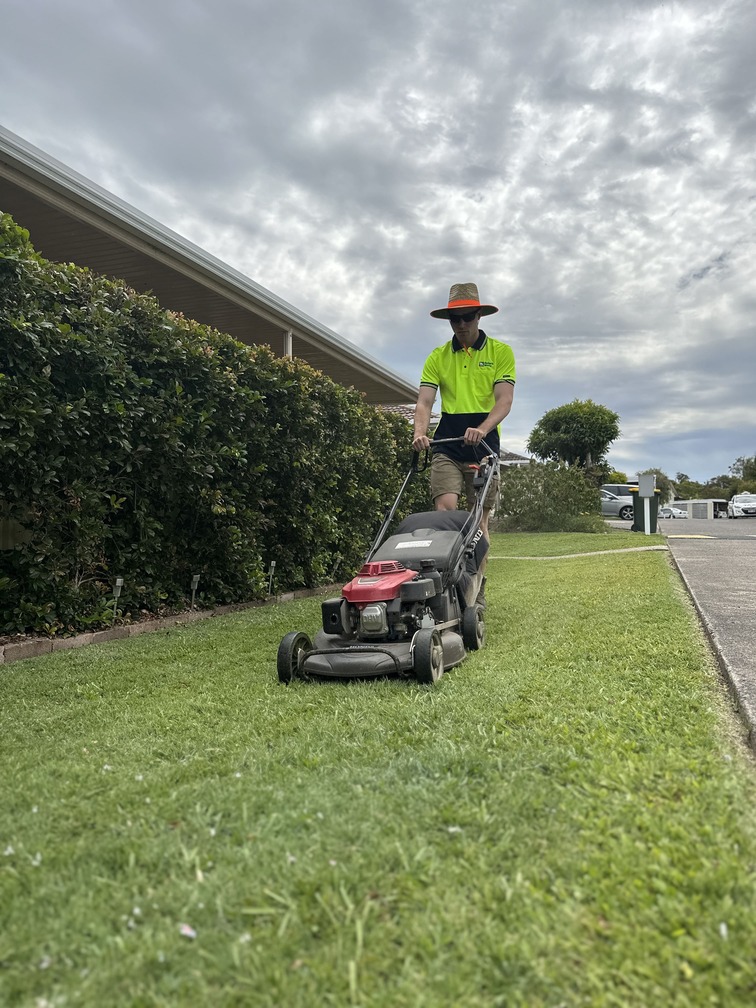 Lawn mower 2024 service gold coast