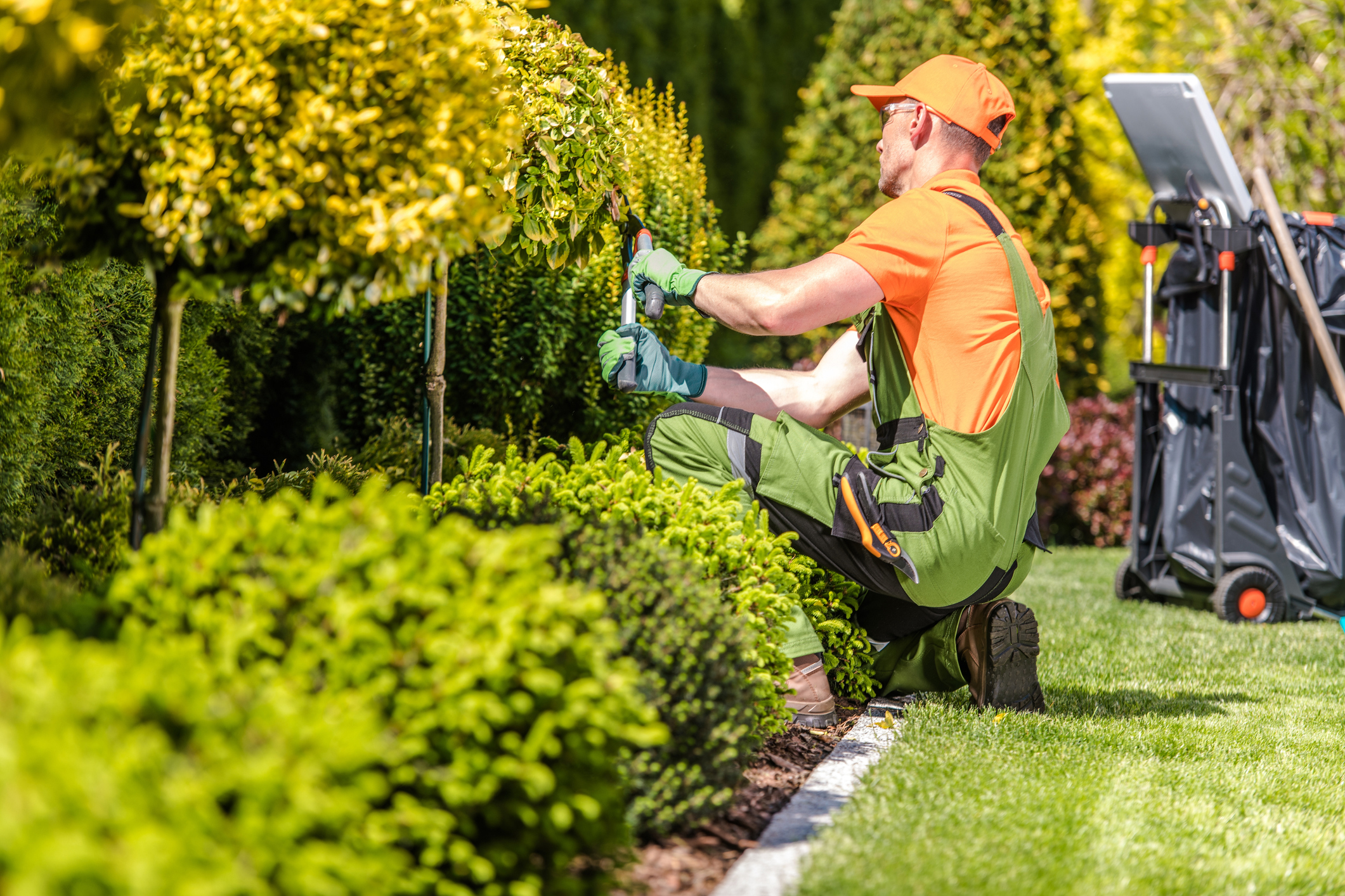 garden-maintenance-brisbane