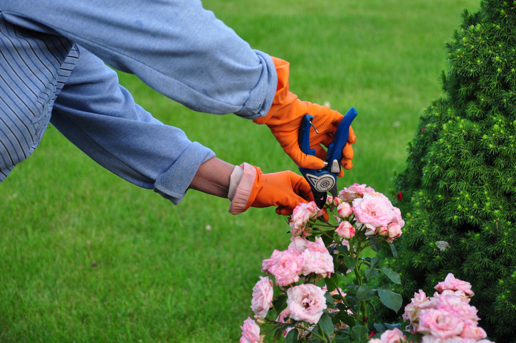 The Benefits Of Hiring A Recurring Gardening Service