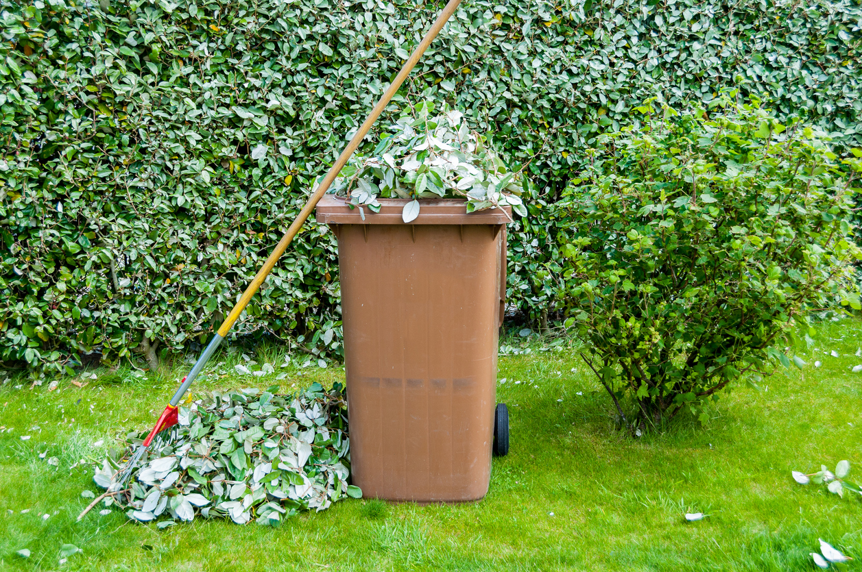 green waste removal garden cleanup brisbane sunshine coast