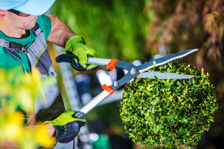 how much does it cost to hire a gardener